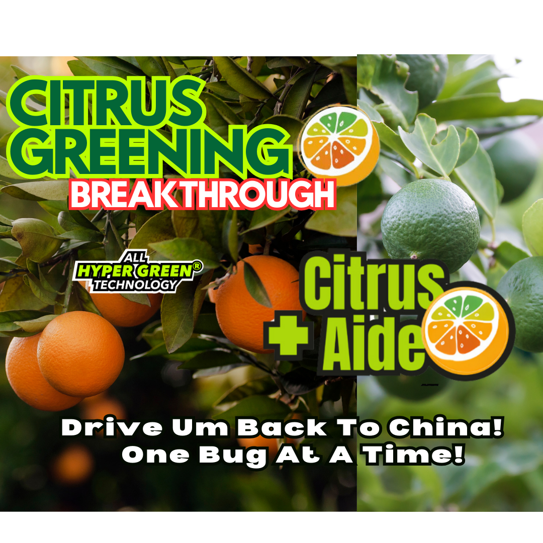 Cítricos + Aide™ | Enjuague de manguera concentrado | 32 onzas